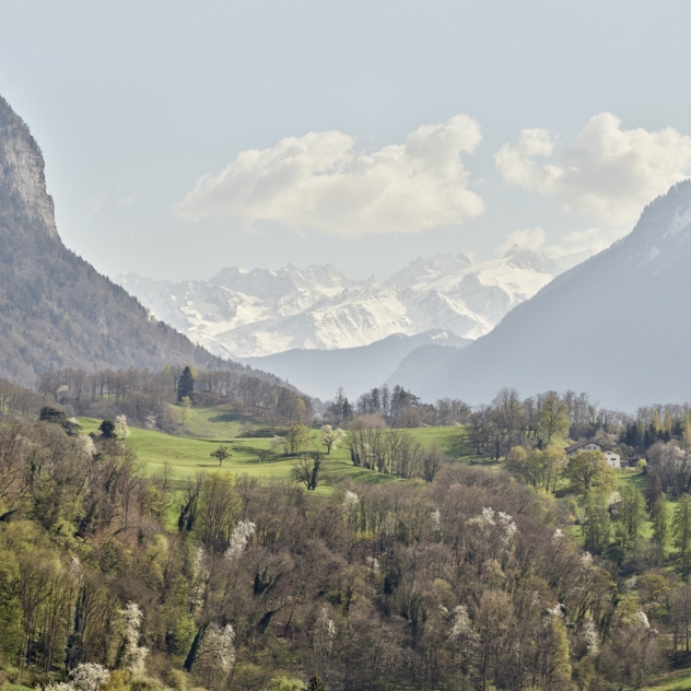 La Triennale Bex Arts