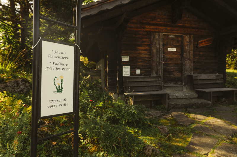 Alpine Garden Les Tussilages aux Diablerets