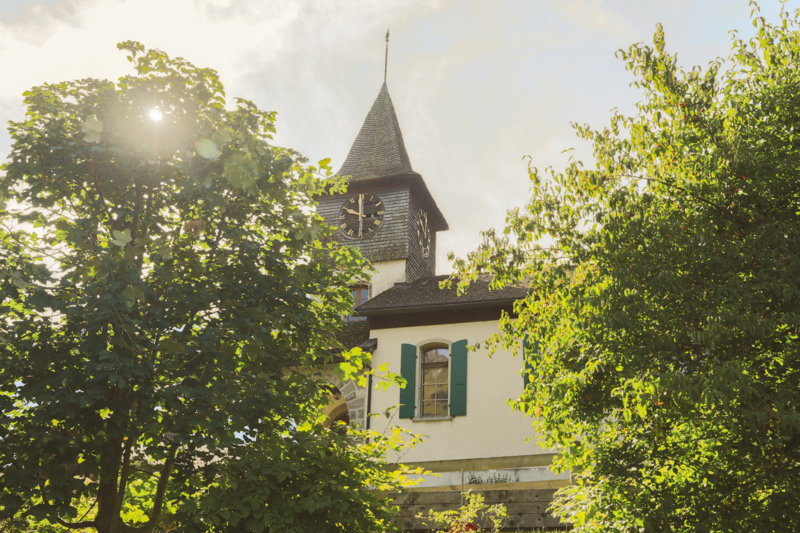Alpine Garden Les Tussilages aux Diablerets