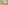 Die Frühlingsflora der Alpes Vaudoises beobachten