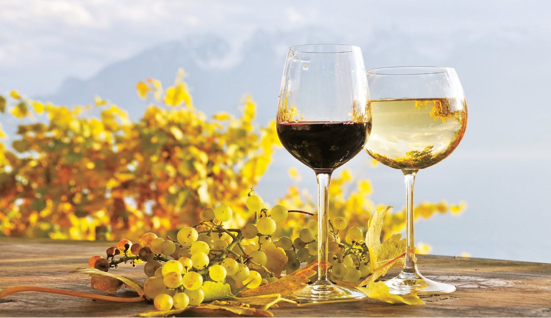 Grappes-verres-vin©VinsDeMorges.jpg