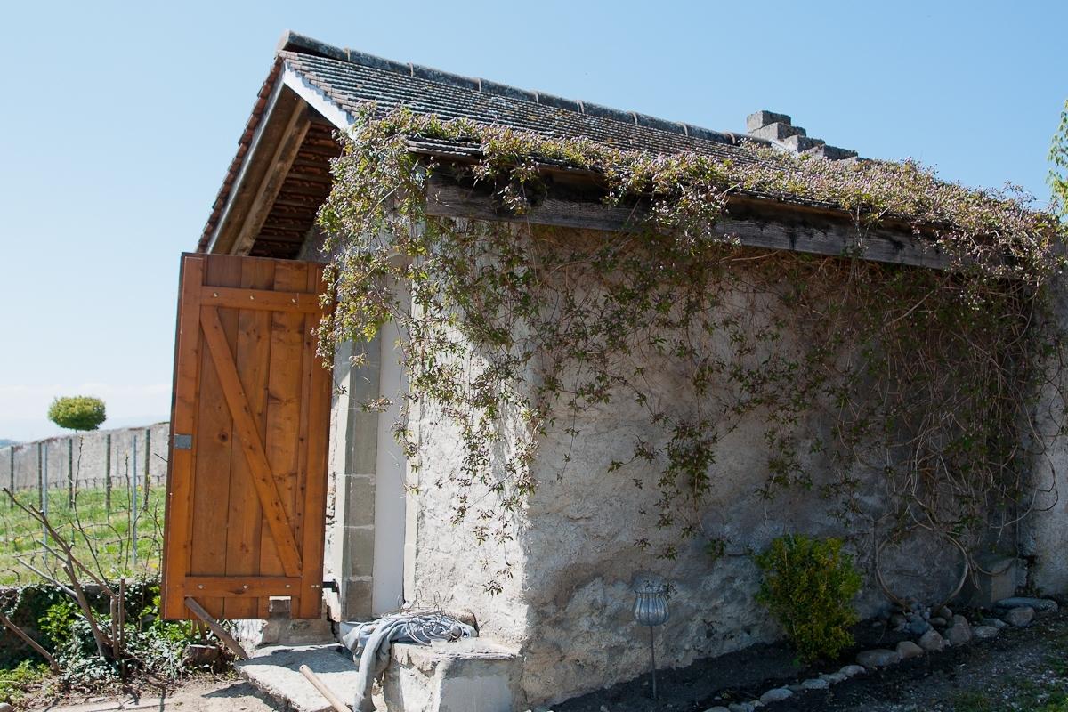 The "capite": a vineyard hut