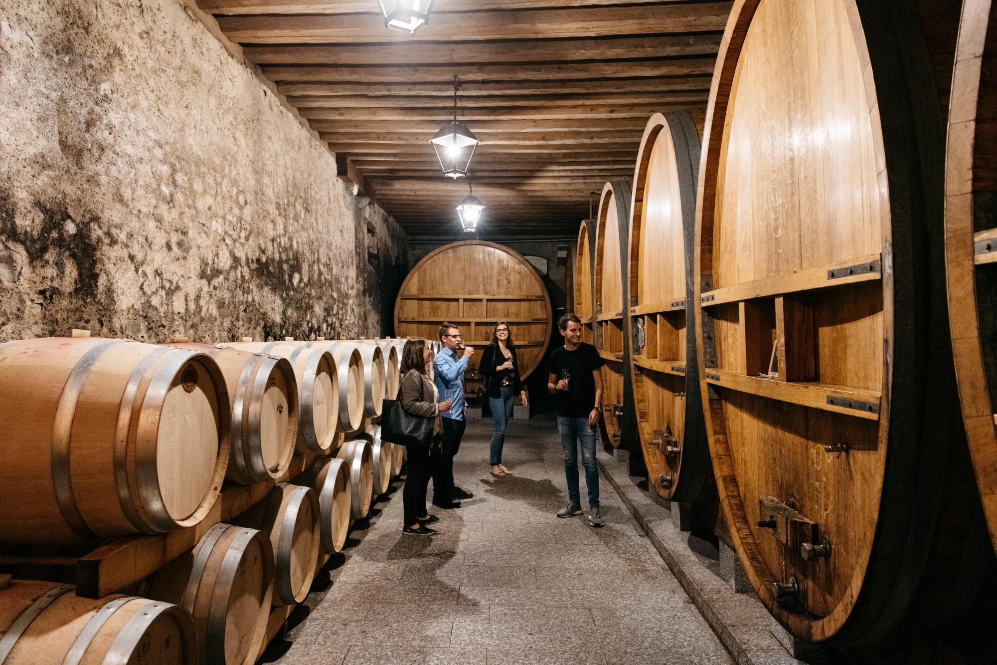 Train des vignes - Domaine du Plessis