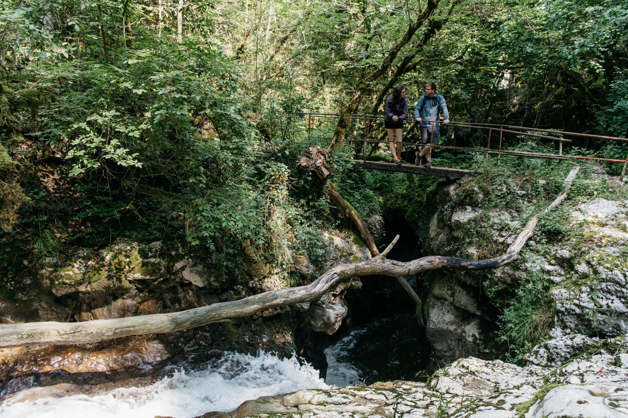 Tine de Conflens