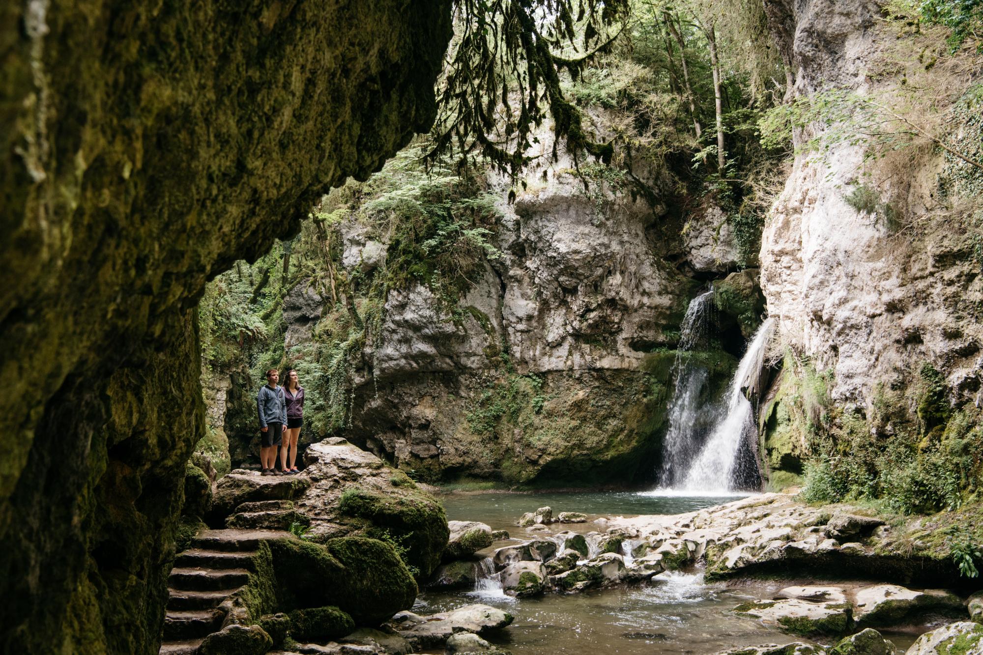 Tine de Conflens