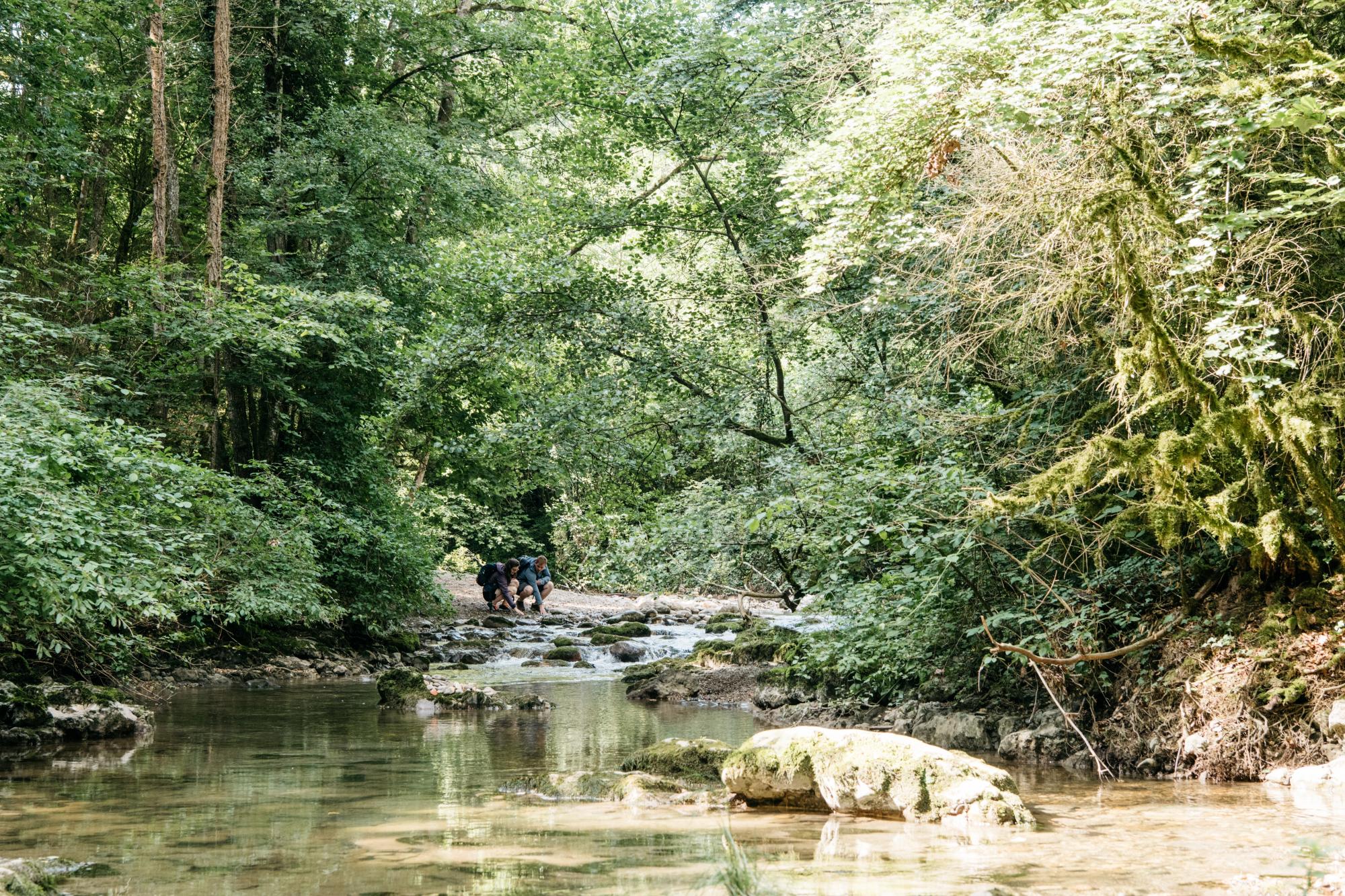 Randonnée à pied Tine de Conflens La Sarraz