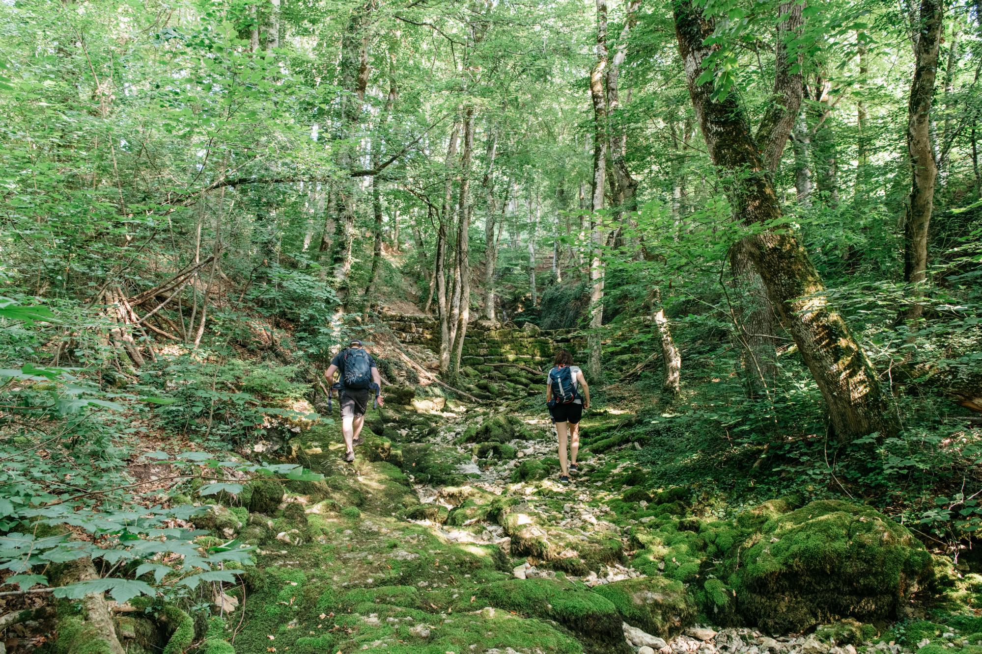 Randonnée à pied sources de la Venoge L'Isle 2019