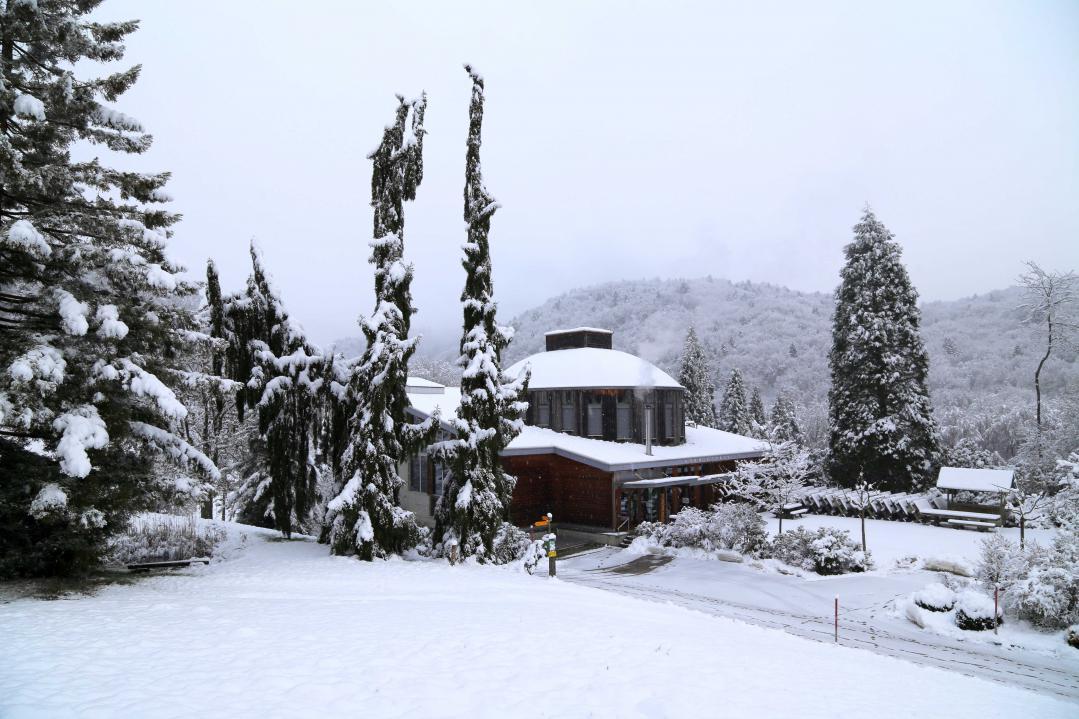 Arboretum im Tal der Aubonne