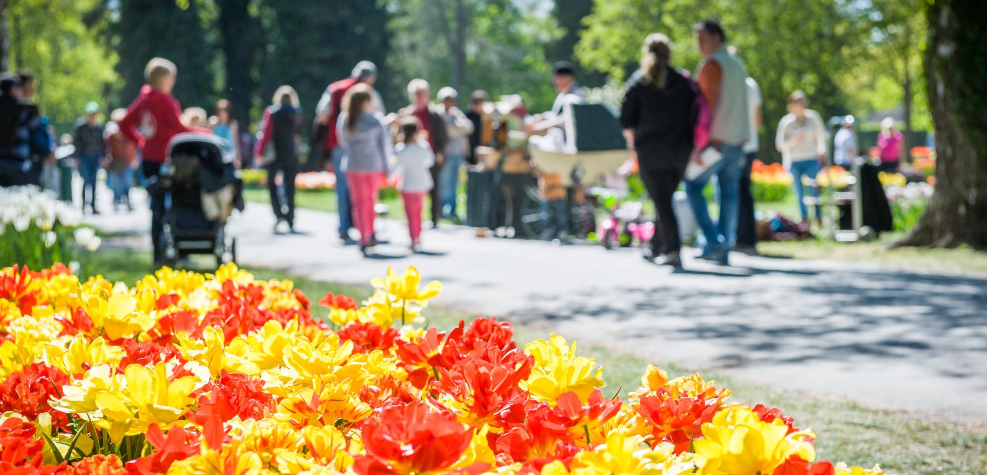 Fête de la Tulipe - fleurs visiteurs