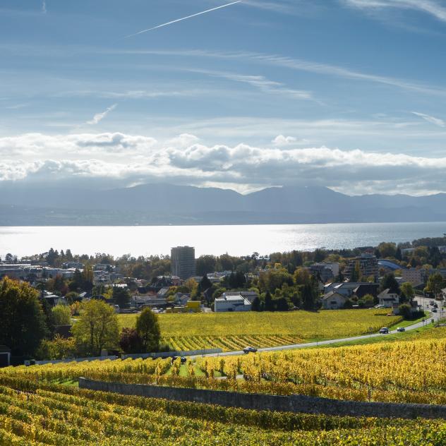 Herrlicher Ausblick auf den See und Morges