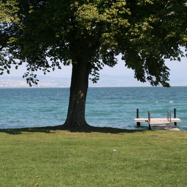 Beach Préverenges Morges Region Tourist Office