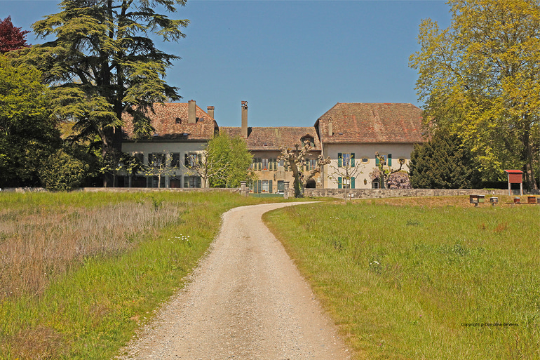 Face de la maison