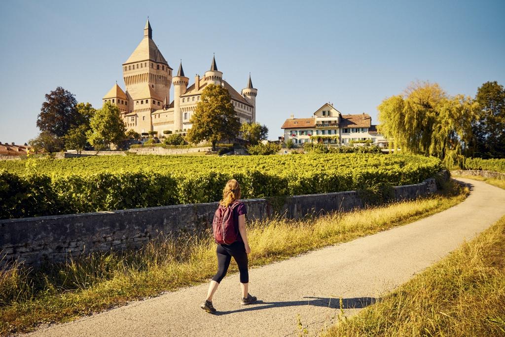 Das lustige Abenteuer im Weinberg