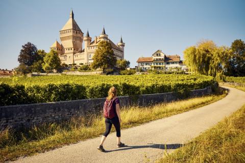 Domaine de la Balle et des Abesses