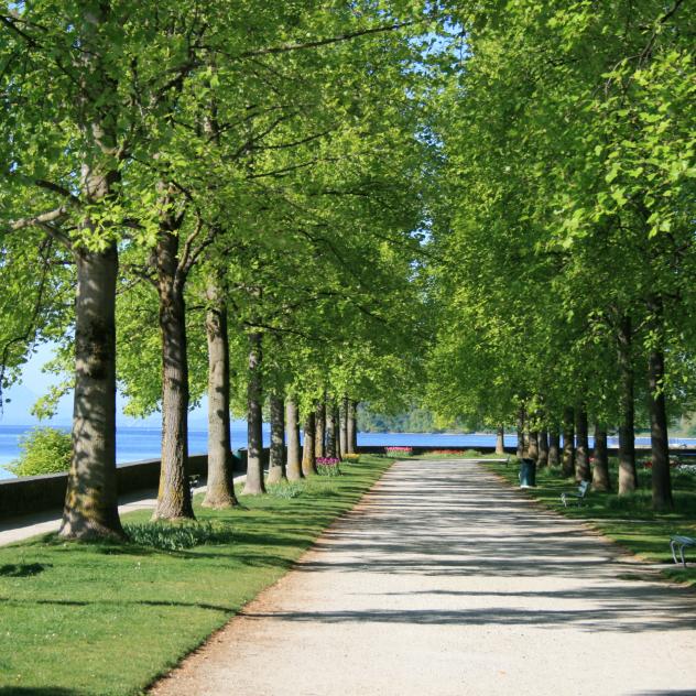 Independence Park