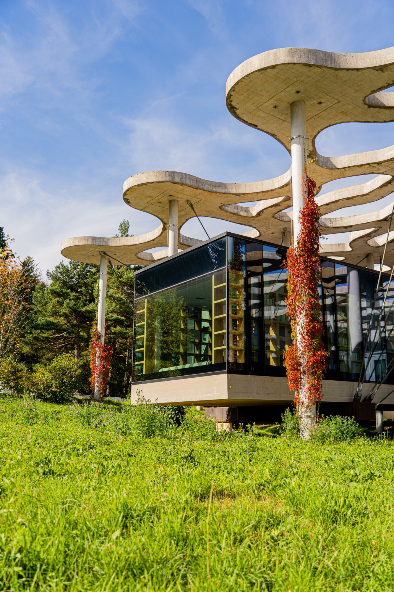 Fondation Jan Michalski - cabane commune