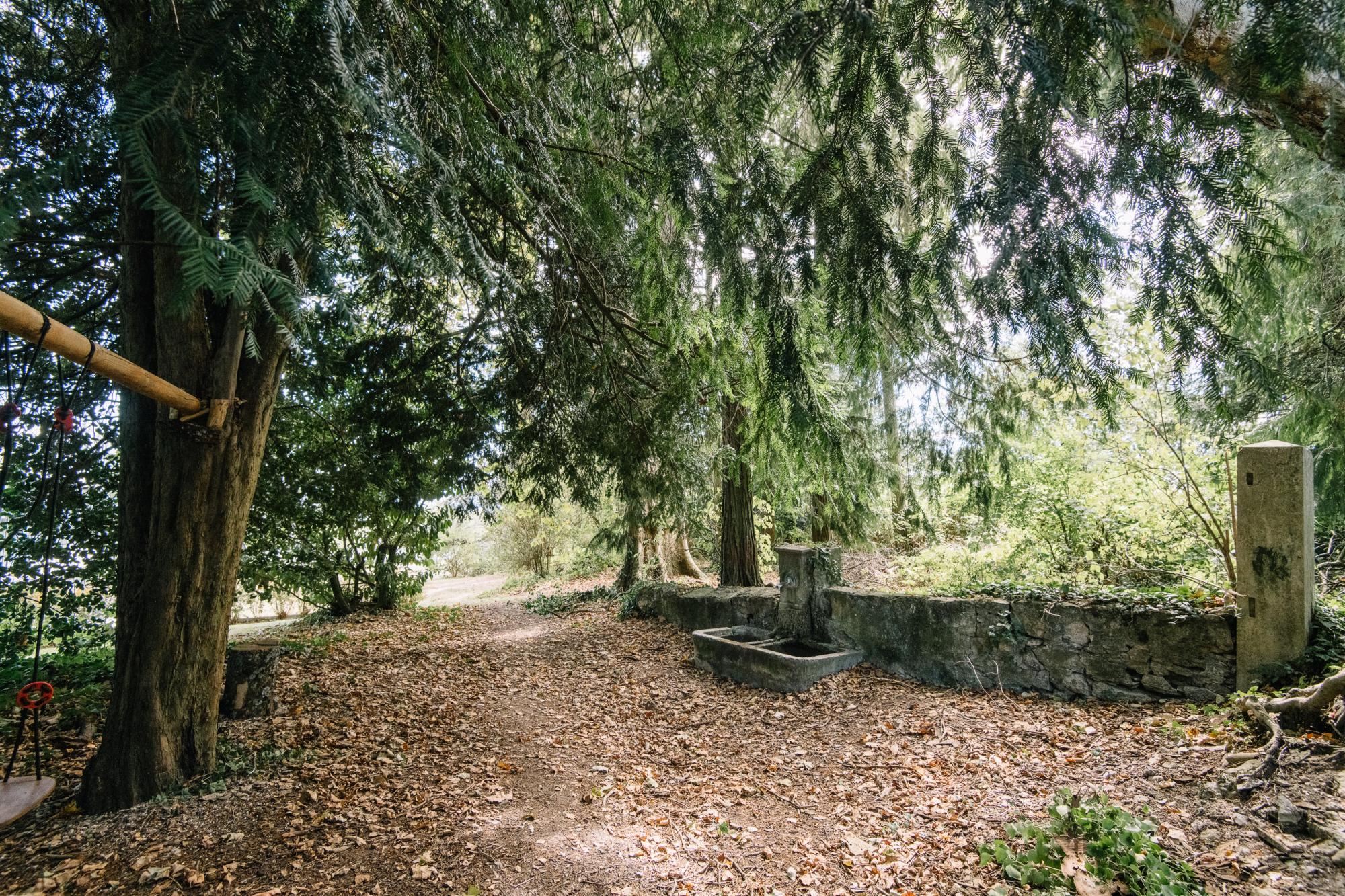 Parc aux essences rares 2020 © Raphaël Dupertuis