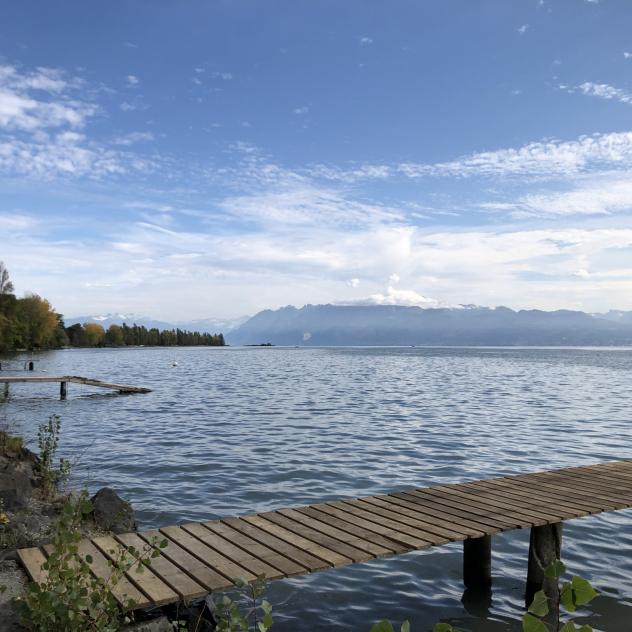 Balade le long du lac entre Morges et Lausanne