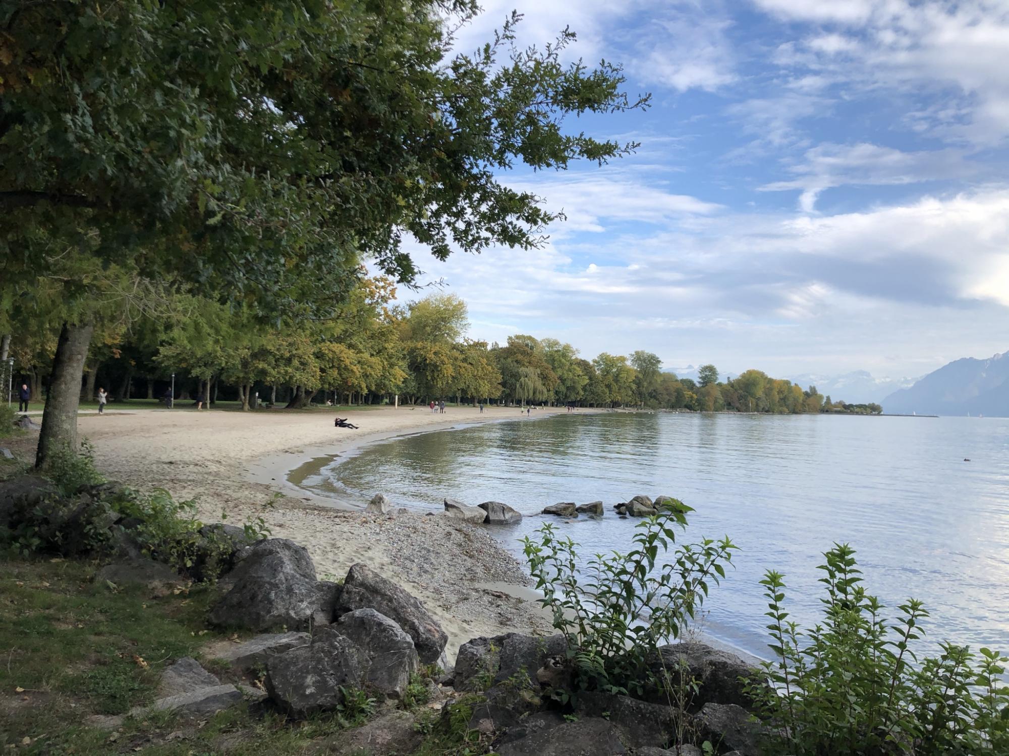 Balade le long du lac Morges-Lausanne