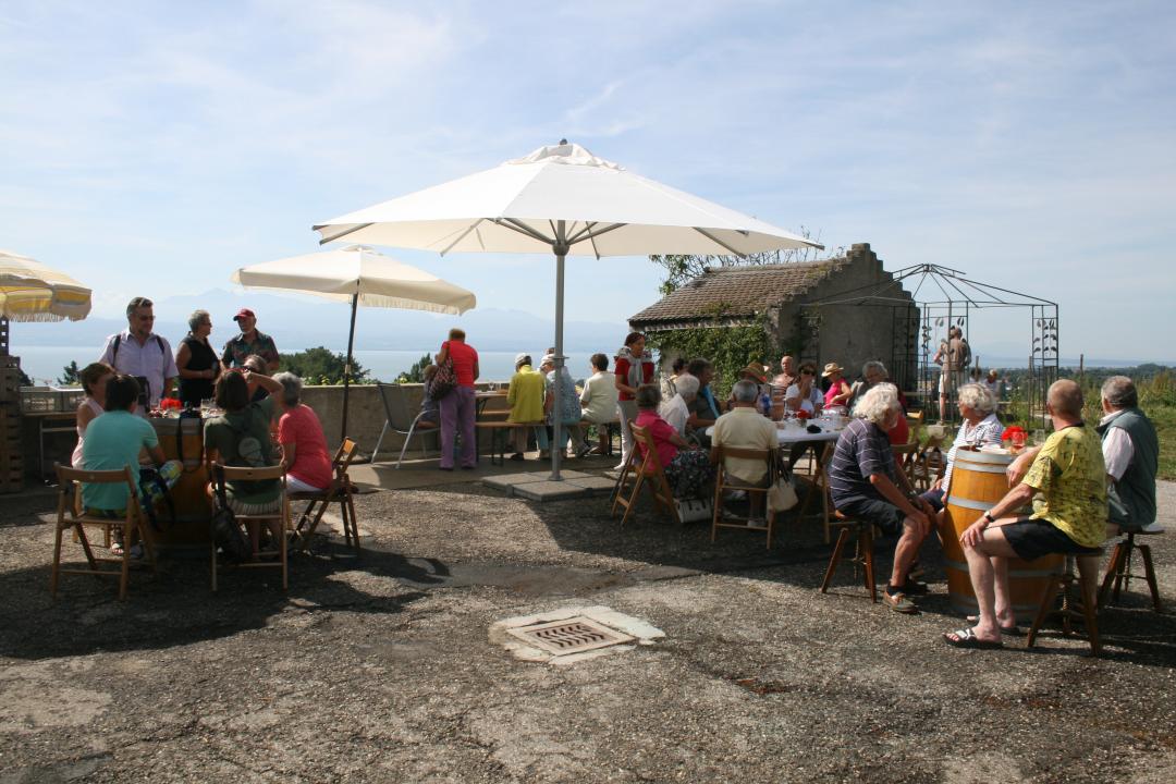 Cave du Signal