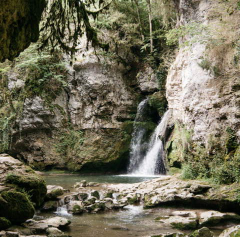 Tine de Conflens 2019