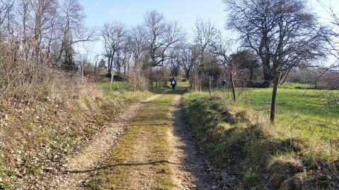 Canal d'Entreroches (La Sarraz-Eclépens)