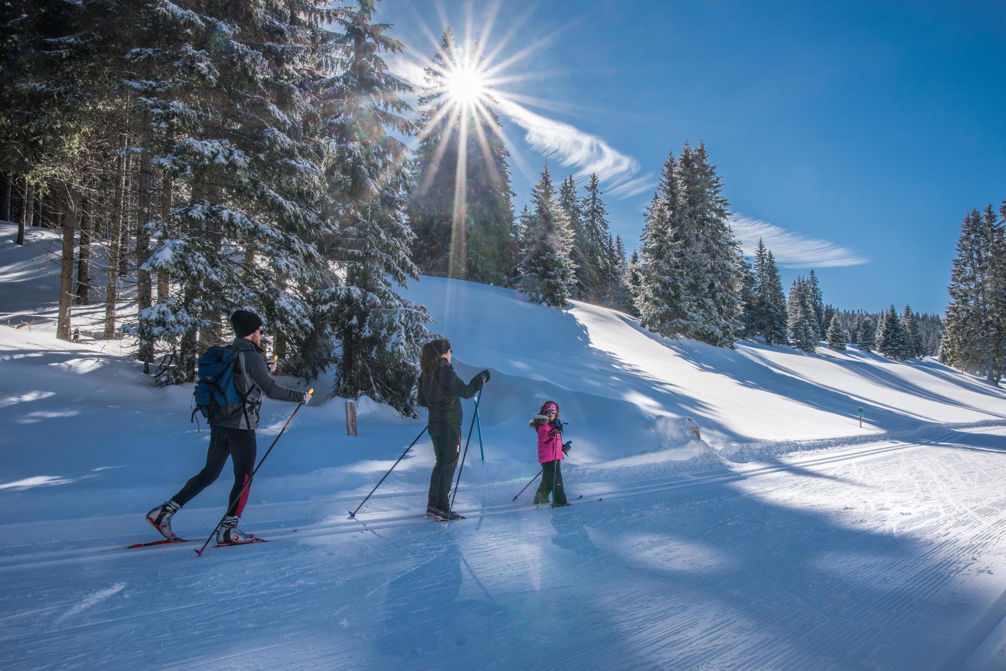 Ski de fond famille arbres hiver 2019