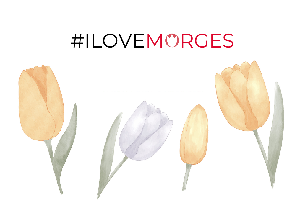 Bandeau concours Ilovemorges_Tulipes