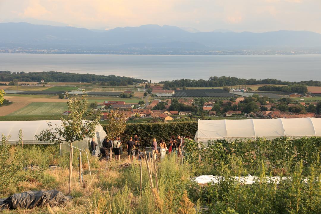 Les Jardins de Chivrageon