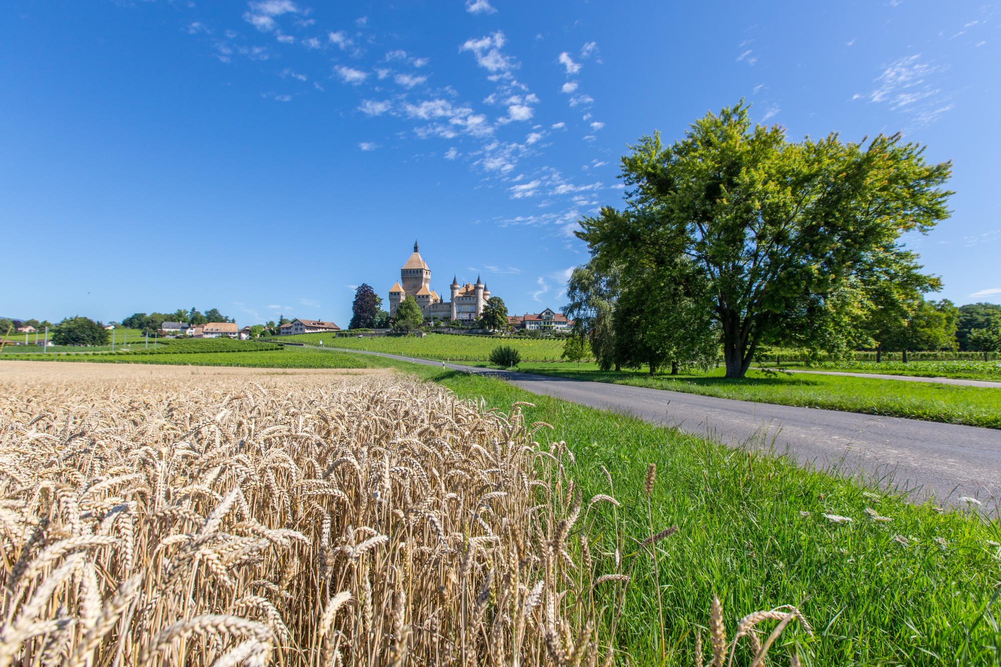 Vufflens Le Château