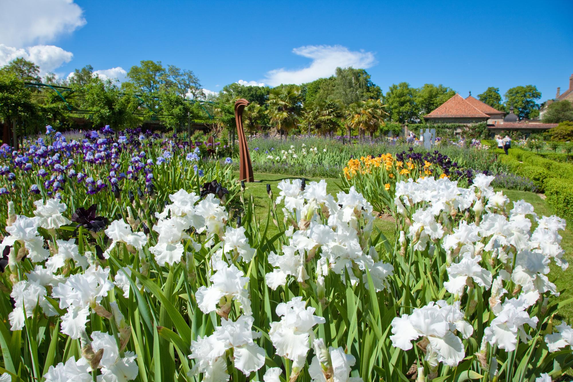 Jardins des iris