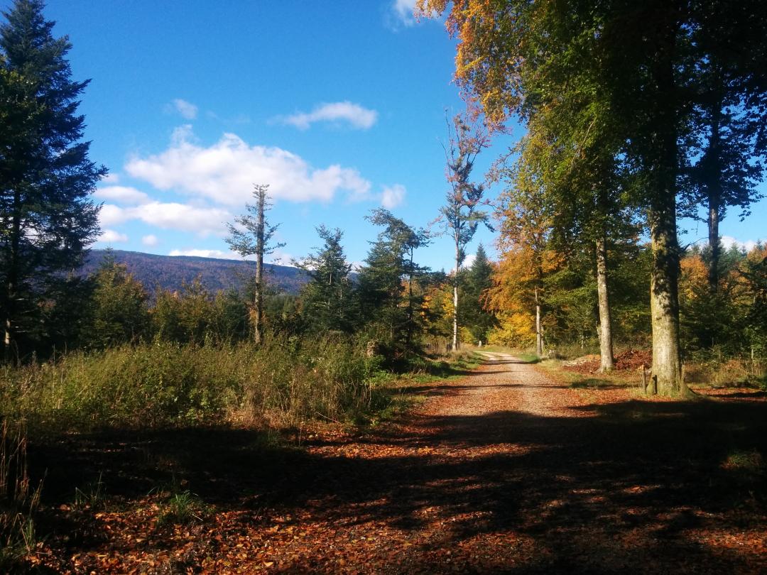 Le sentier des Fumas