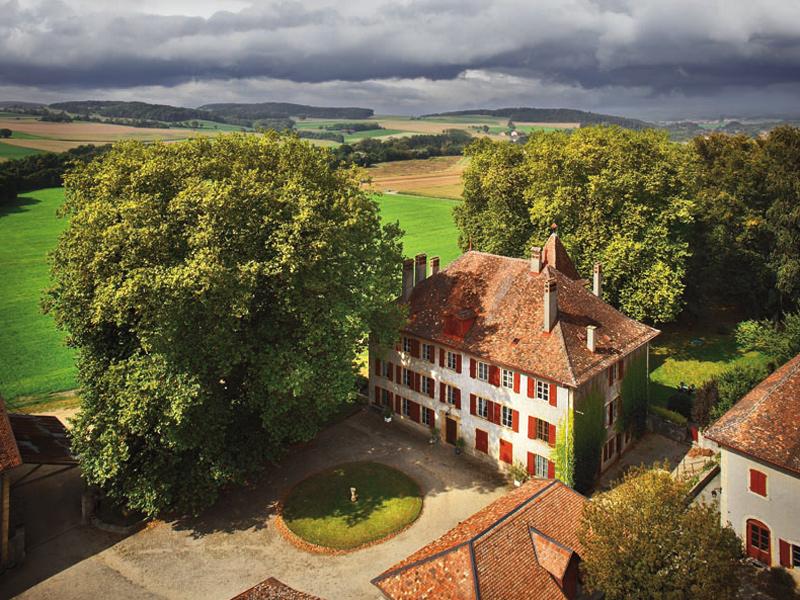 Cave ouverte chateau d'Eclépens