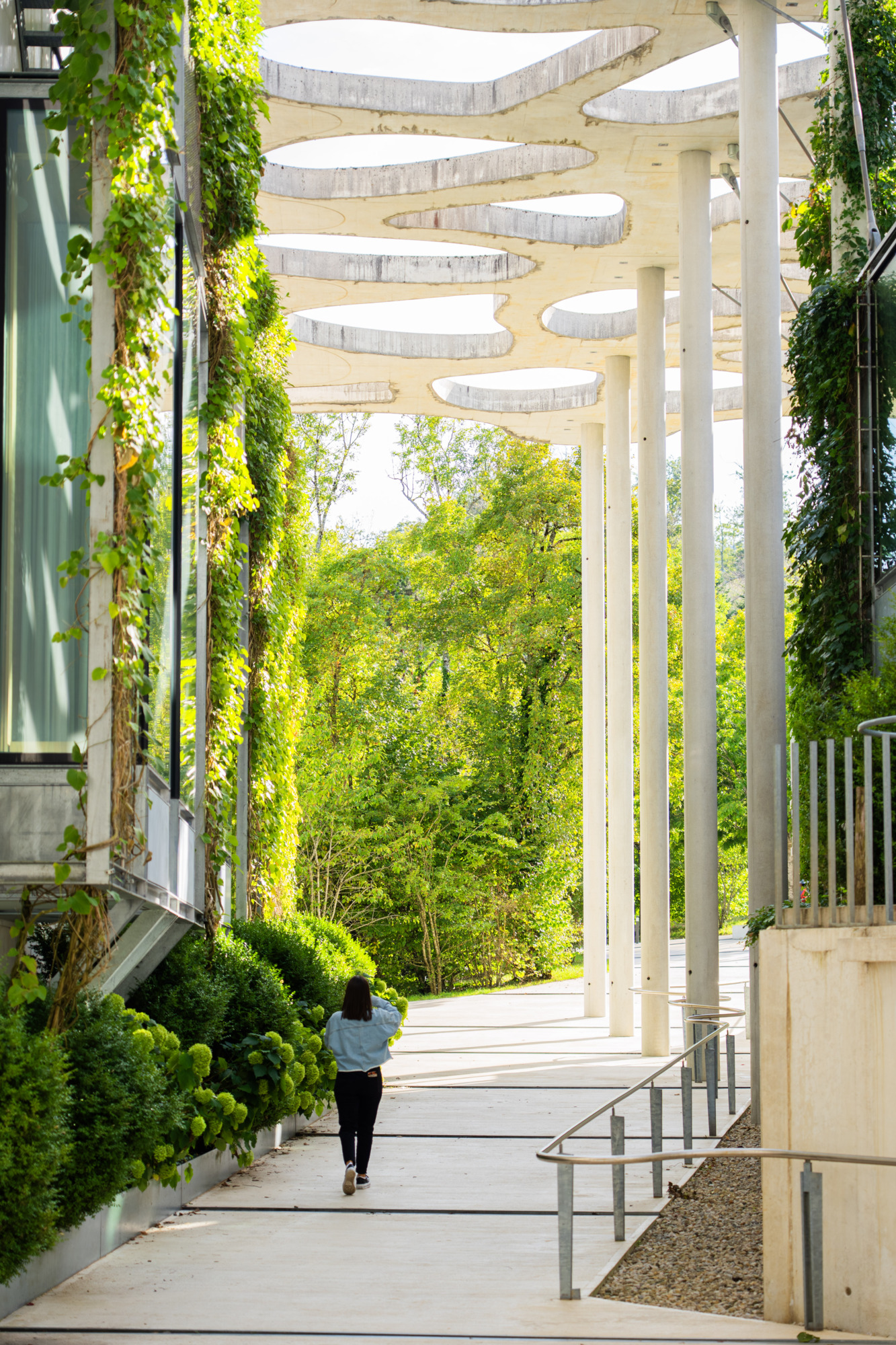 Fondation Michalski - canopée