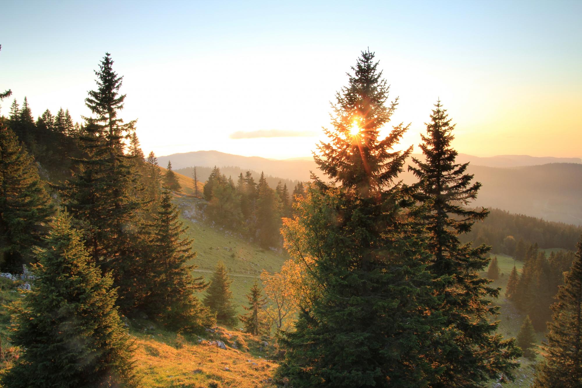 Un coucher de soleil &agrave; la D&ocirc;le