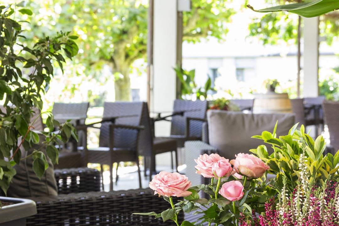 Le Vignoble terrasse