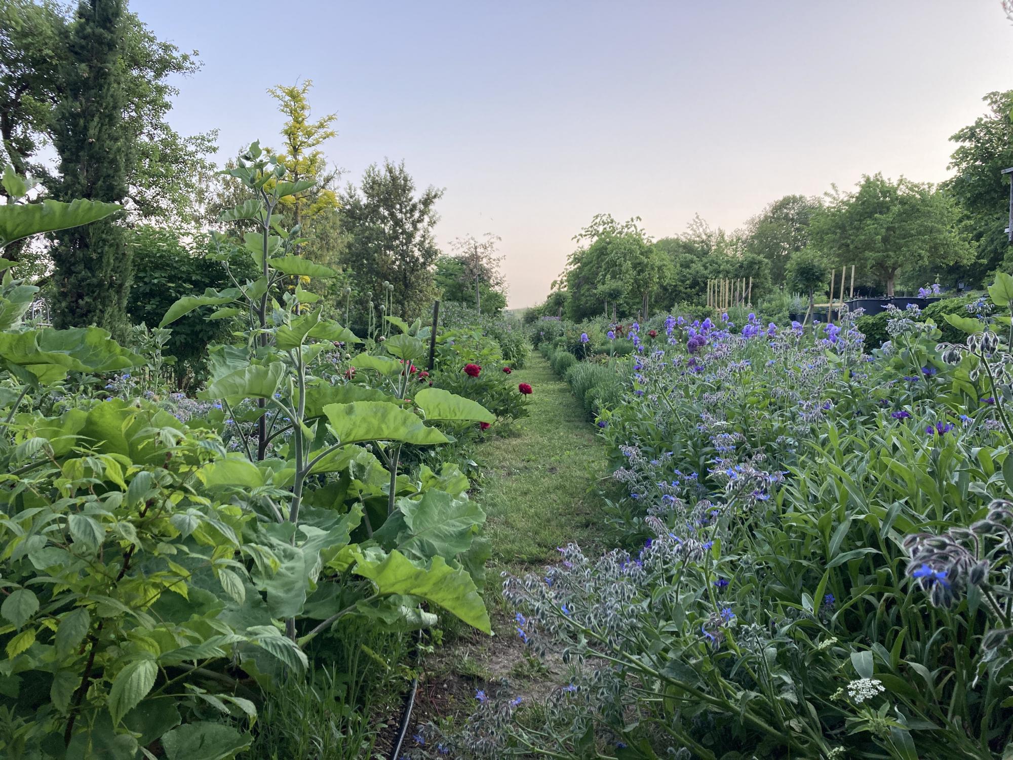 Jardin des Ochettes