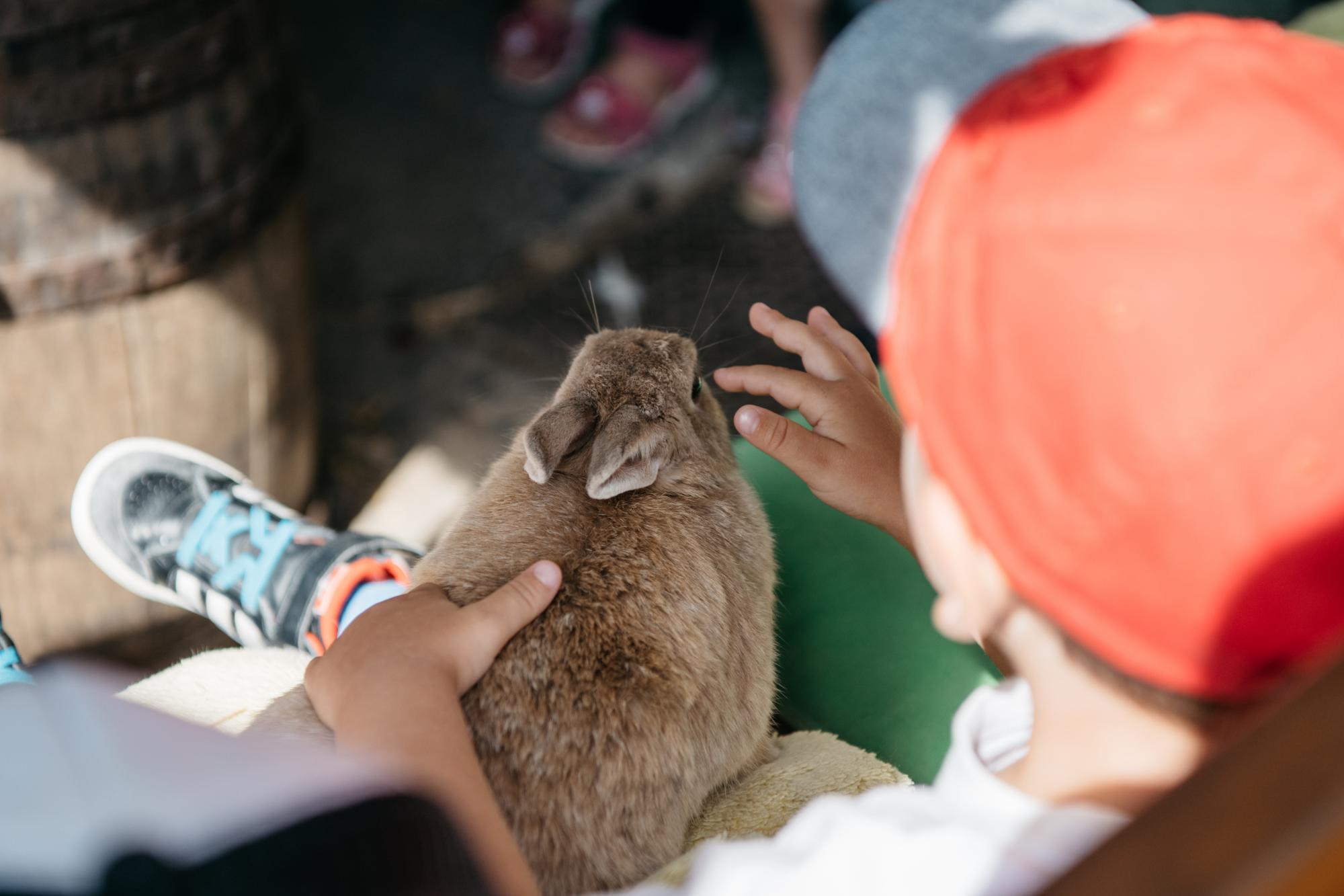 Sortie "Petit Train à la ferme" à la Ferme aux Cretegny à Bussy-Chardonney avec Morges Région Tourisme le 17 juillet 2017. Photo: © Raphaël Dupertuis