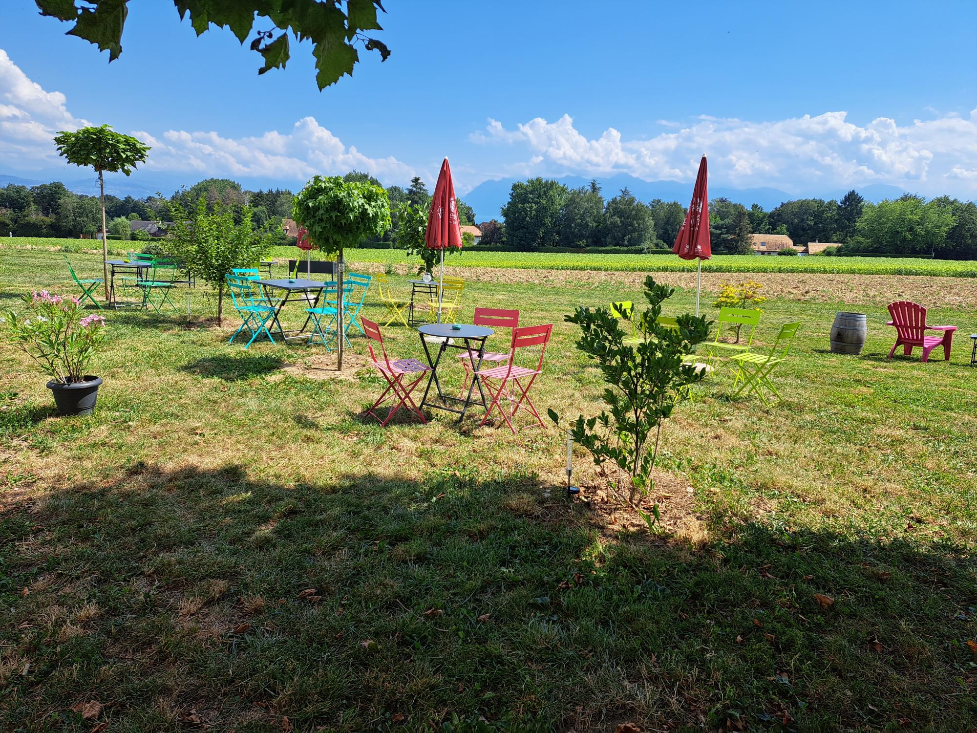 Domaine Serge Hugi & Filles terrasse