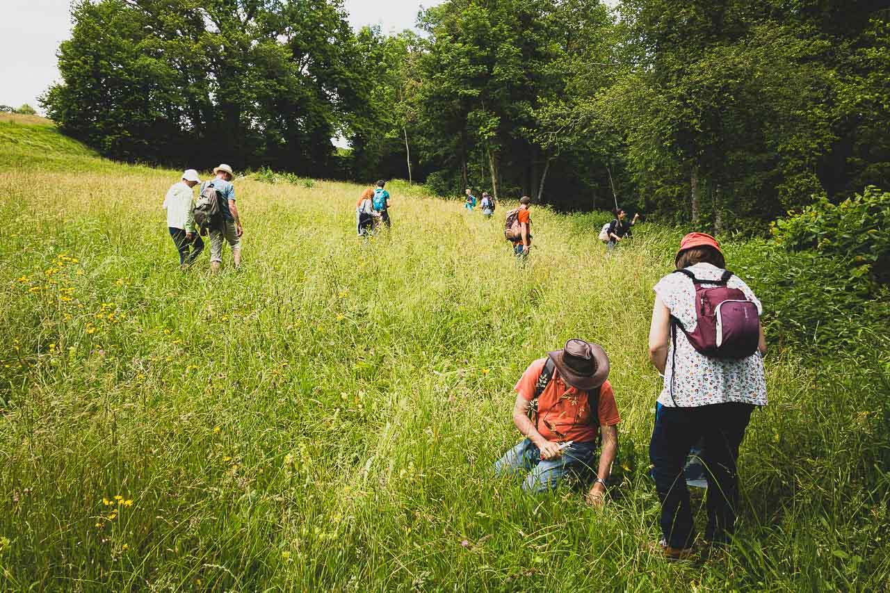 cours plantes sauvages La Sarraz