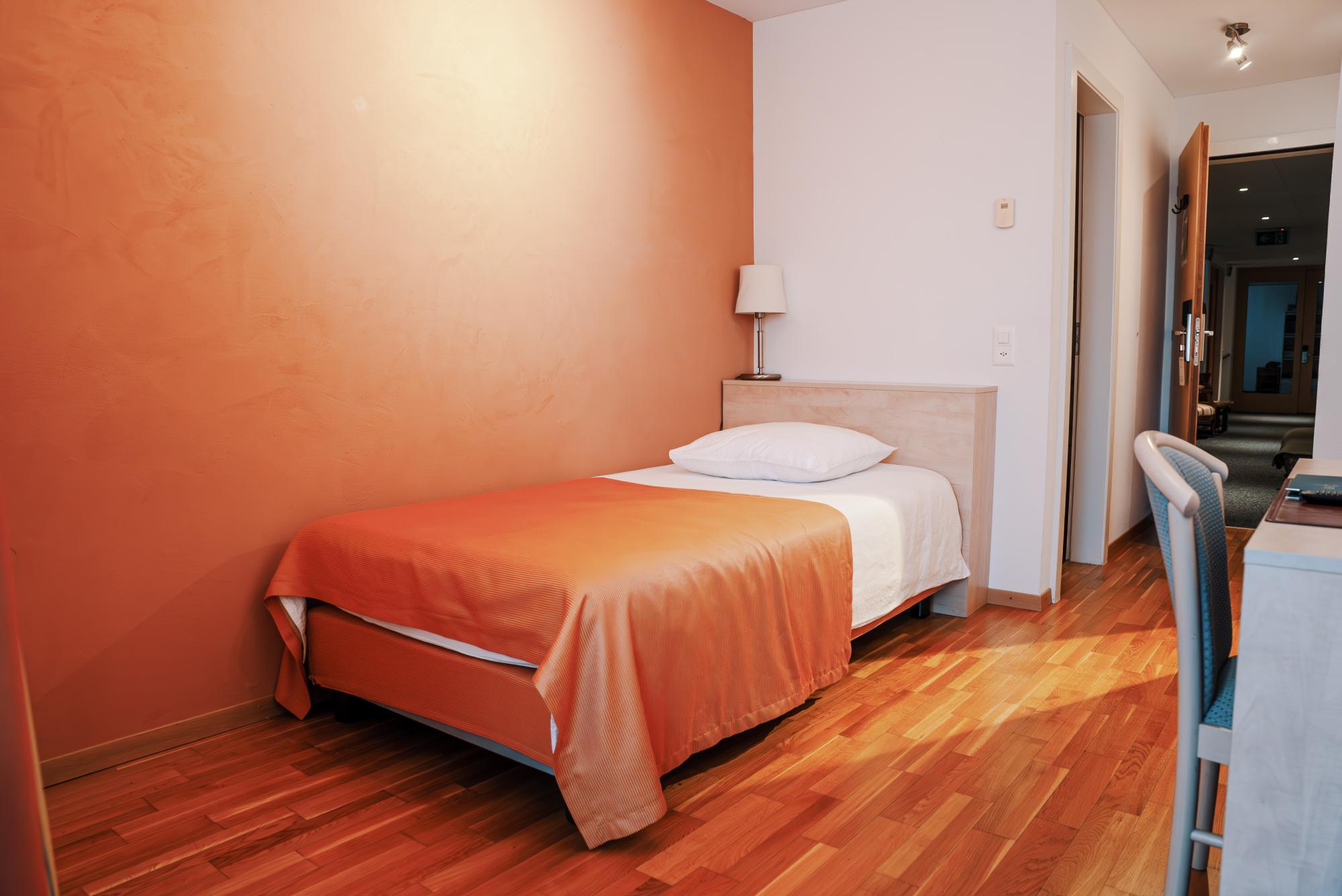Aux 2 Sapins - chambre single