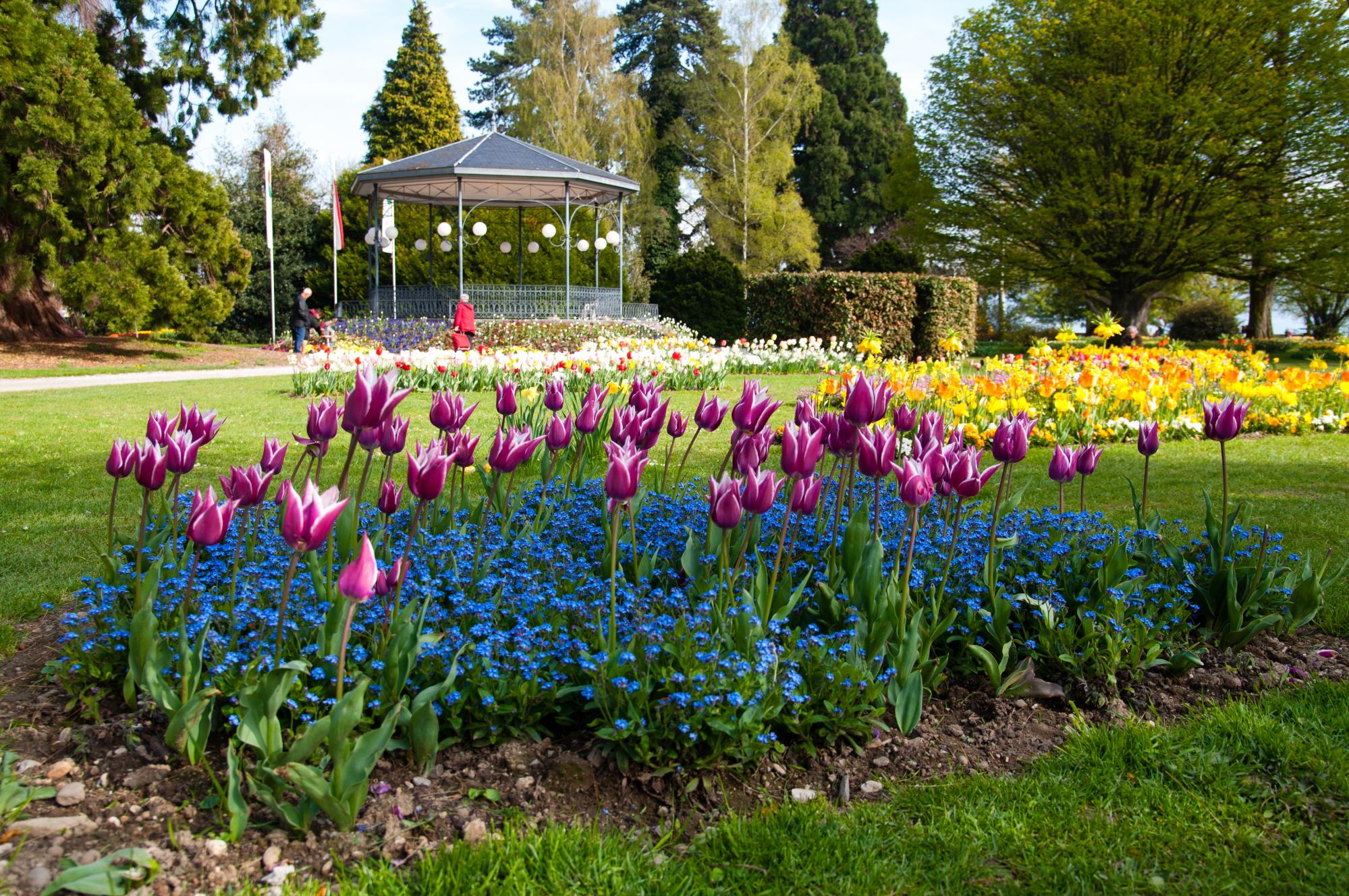 Fête de la Tulipe - fleurs kiosque