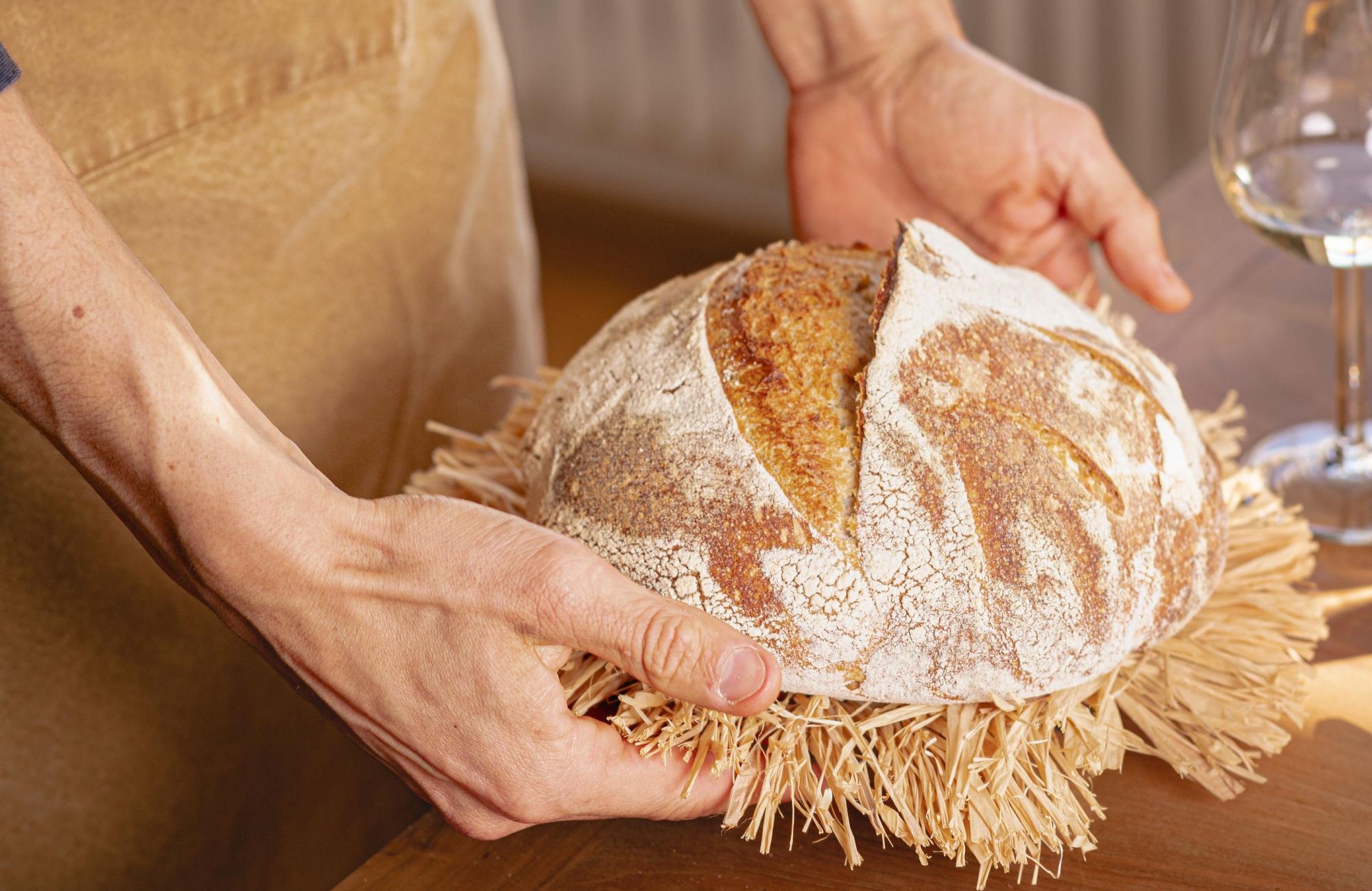 Atelier d'initiation au pain au levain