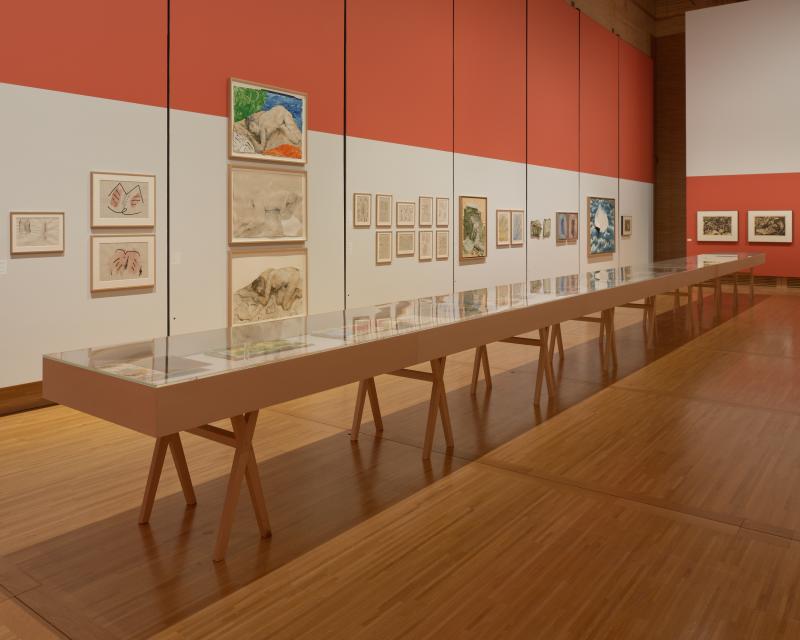 Exposition Miquel Barcelo - Fondation Jan Michalski
