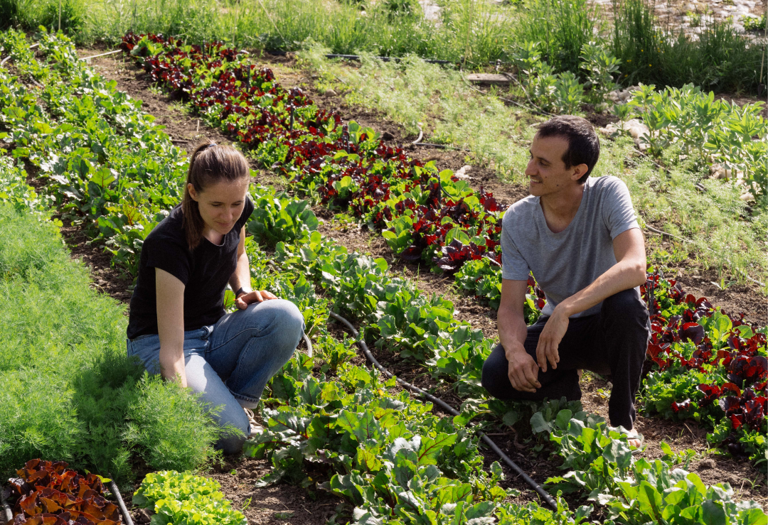 Wine and Dine - Les Jardins de Chivrageon