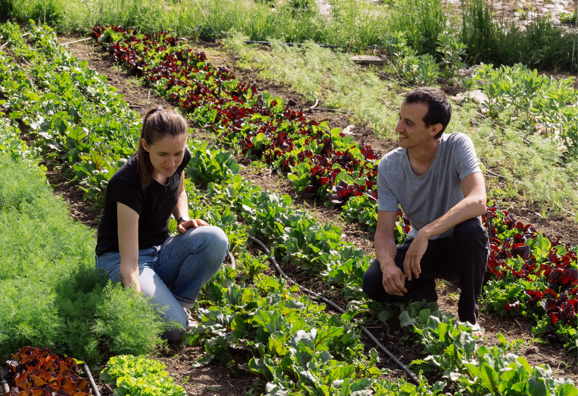 Wine and Dine - Les Jardins de Chivrageon