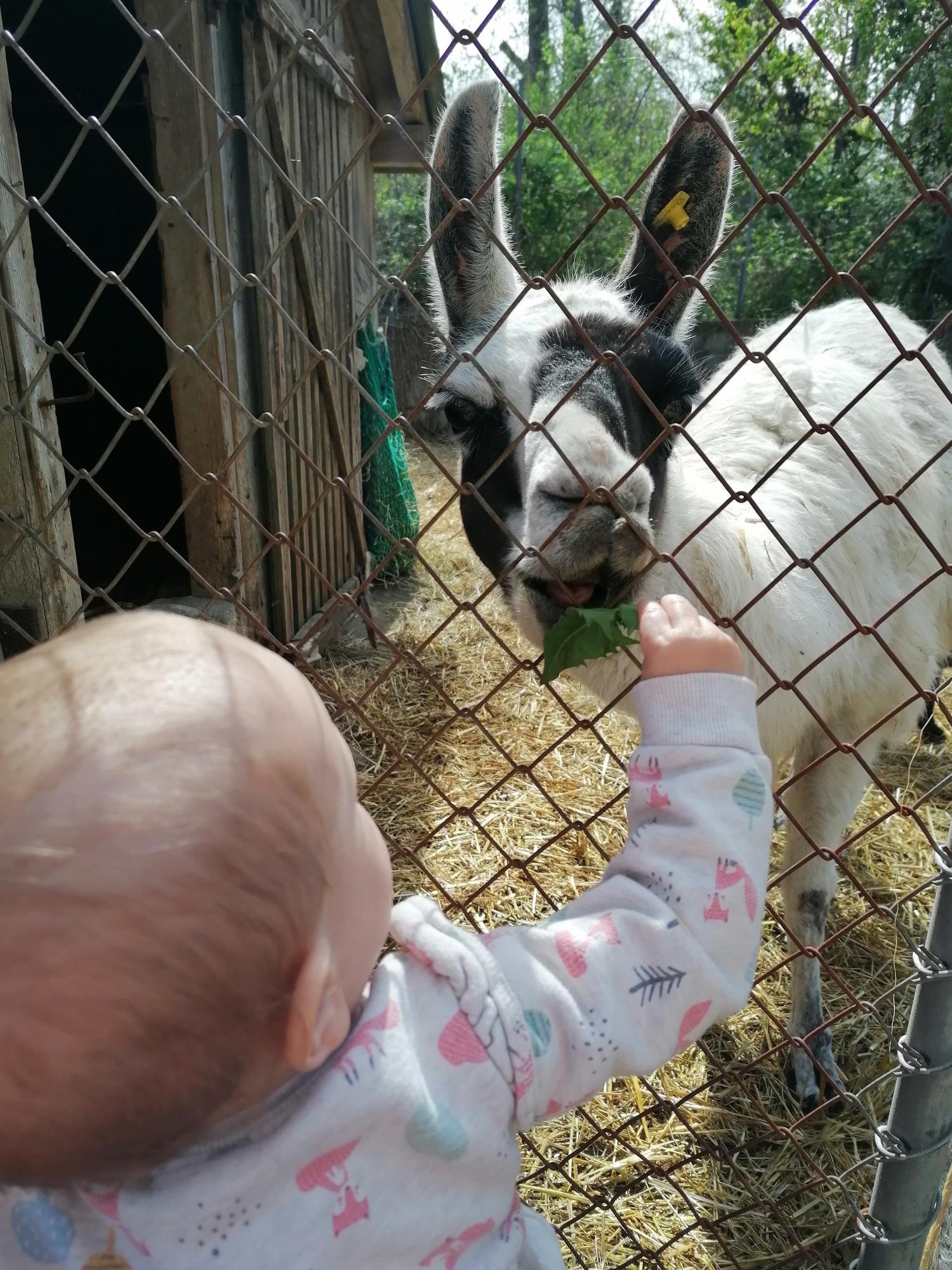 Ferme aux cretegny