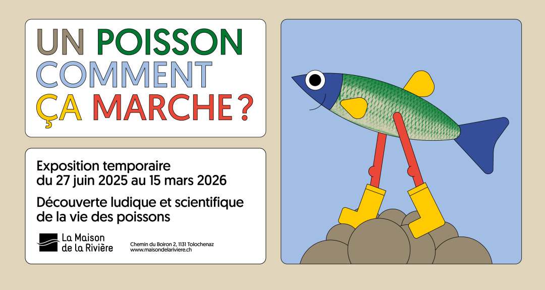 Affiche "Un poisson comment ça marche ?"