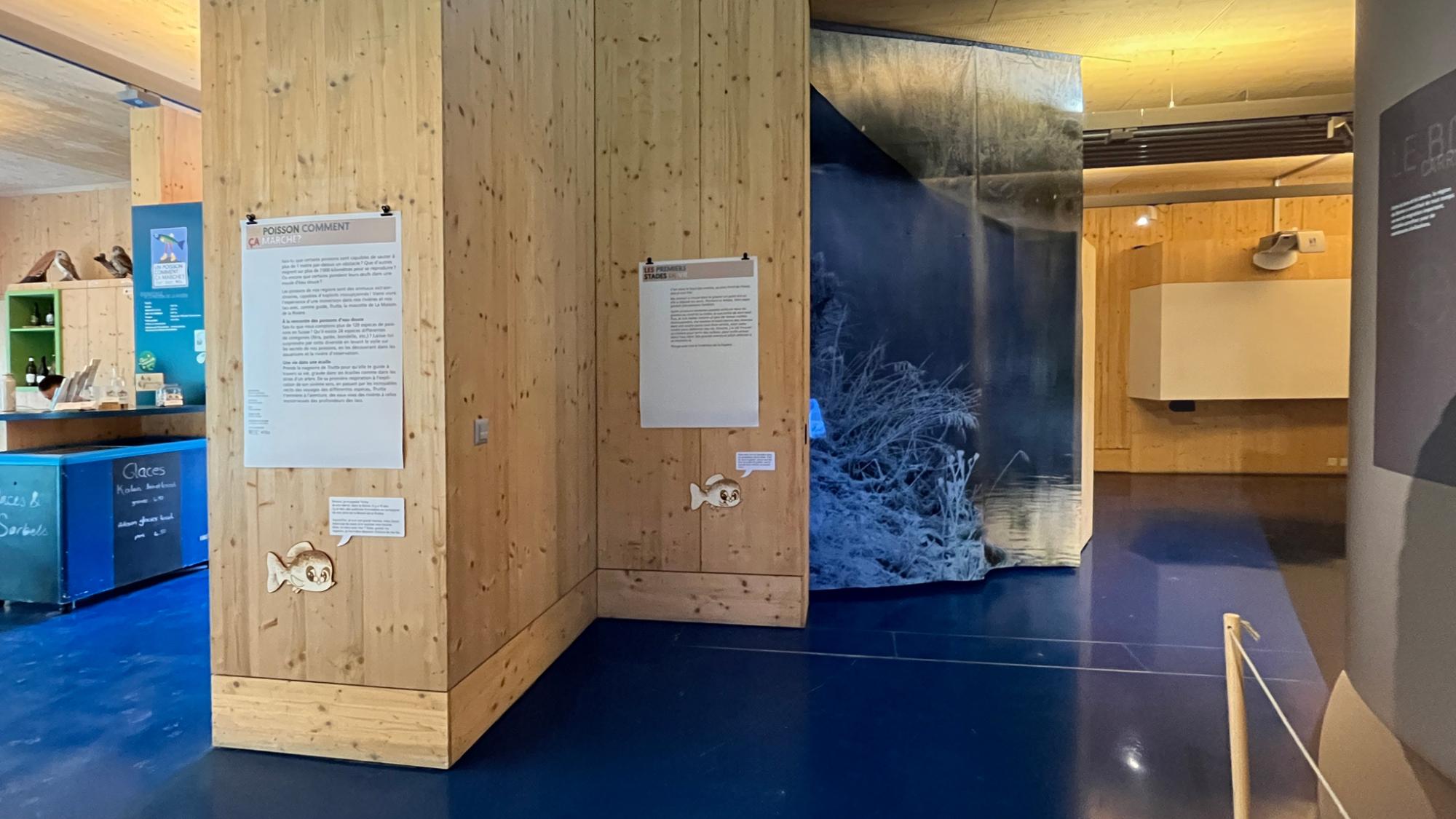Expo "Un poisson comment ça marche ?" musée
