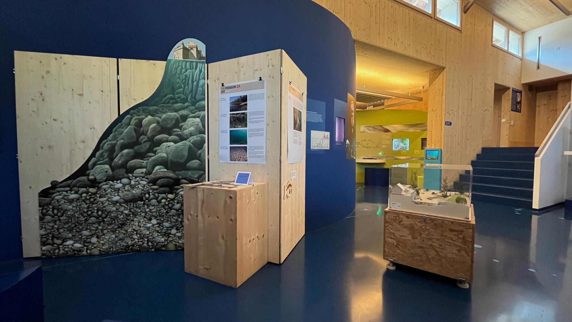 Expo "Un poisson comment ça marche ?" musée